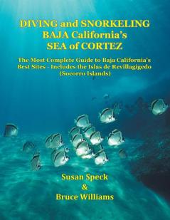 Diving and Snorkeling Baja California's Sea of Cortez