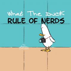 What the Duck Rule of Nerds