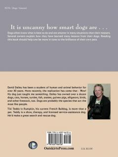 Lessons Learned from Dogs