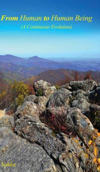 From Human to Human Being