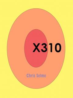 X310