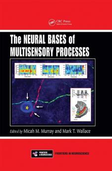 Neural Bases of Multisensory Processes