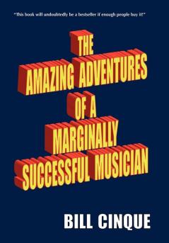 THE AMAZING ADVENTURES OF A MARGINALLY SUCCESSFUL MUSICIAN