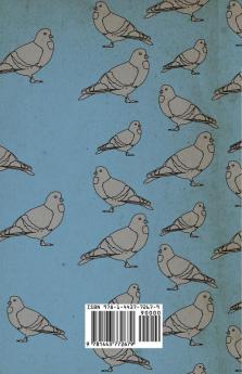 Secrets Of Long-Distance Pigeon Racing