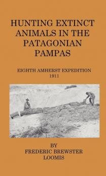 Hunting Extinct Animals In The Patagonian Pampas