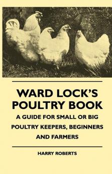 Ward Lock's Poultry Book - A Guide For Small Or Big Poultry Keepers Beginners And Farmers