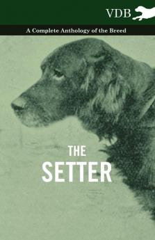 The Setter - A Complete Anthology of the Breed