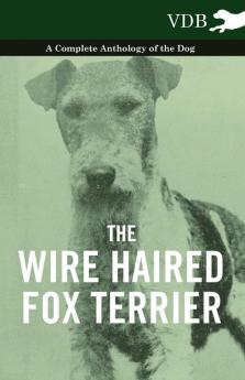 The Wire Haired Fox Terrier - A Complete Anthology of the Dog