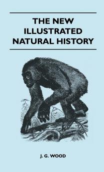 The New Illustrated Natural History