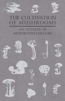 The Cultivation Of Mushrooms - An Outline Of Mushroom Culture