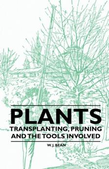 Plants - Transplanting Pruning and the Tools Involved