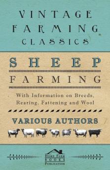 Sheep Farming - With Information on Breeds Rearing Fattening and Wool