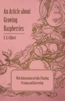 An Article About Growing Raspberries with Information on Soils Planting Pruning and Harvesting