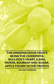 The Annonaceous Fruits Being the Cherimoya Bullock's Heart Ilama Papaya Soursop and Sugar-Apple Found in the Tropics