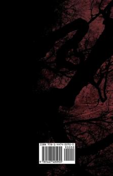 Madame Helena Blavatsky - Two Short Stories by One of the Greats of Occult Writing (Fantasy and Horror Classics)