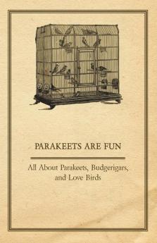 Parakeets are Fun - All About Parakeets Budgerigars And Love Birds