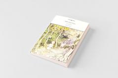 Irish Fairy Tales - Illustrated by Arthur Rackham