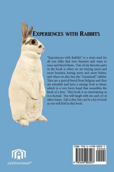 Experiences with Rabbits