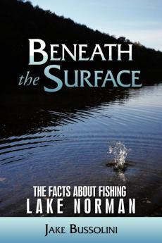 Beneath the Surface