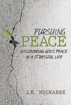 Pursuing Peace