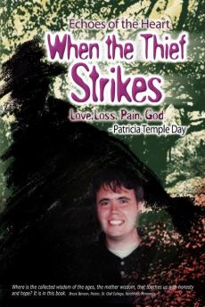 When the Thief Strikes