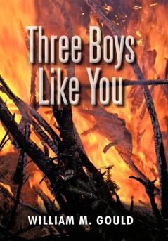 Three Boys Like You