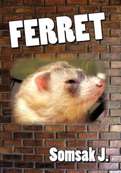 Ferret