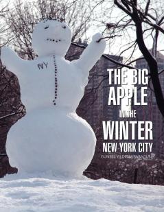 Big Apple In The Winter