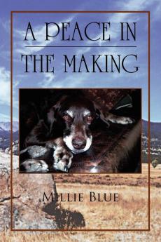 A Peace in the Making