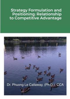 Strategy Formulation and Positioning