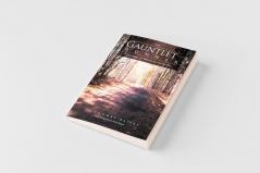 The Gauntlet Runner
