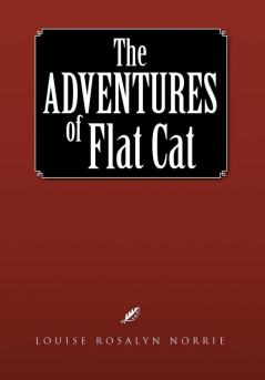 The Adventures of Flat Cat