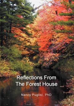 Reflections  from The Forest House