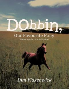 Dobbin Our Favourite Pony