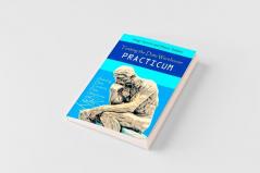 Testing the Data Warehouse Practicum