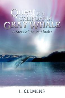 Quest of a California Gray Whale