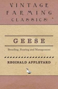 Geese - Breeding Rearing and Management