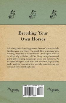 Breeding Your Own Horses