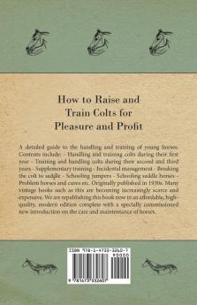 How to Raise and Train Colts for Pleasure and Profit