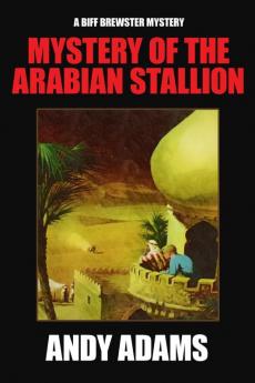 Mystery of the Arabian Stallion