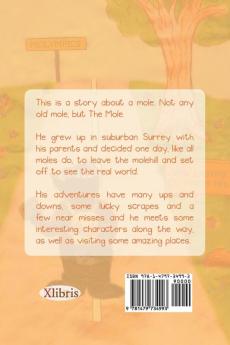 The Fairly Amazing Adventures of Mole: Children's Story