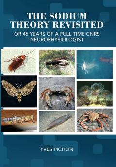 The Sodium Theory Revisited