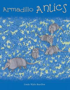 Armadillo Antics