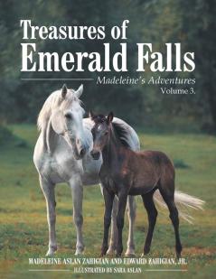 Treasures of Emerald Falls