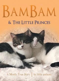 BamBam & The Little Princes