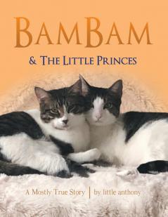BamBam & The Little Princes