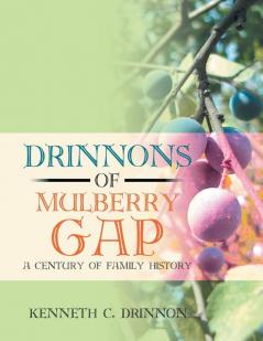 Drinnons of Mulberry Gap