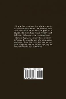 A Cousin's Conspiracy a Boy's Struggle for an Inheritance