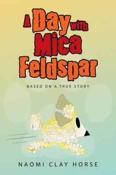 A Day with Mica Feldspar
