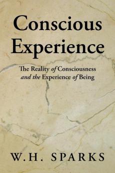 Conscious Experience